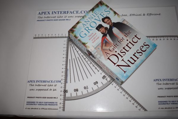 A Gift for the District Nurses - Annie Groves