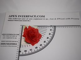 Florals by Impex™ Large Red Button hole Rose
