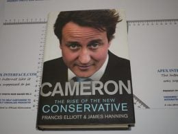 Cameron Rise of the New Conservative book