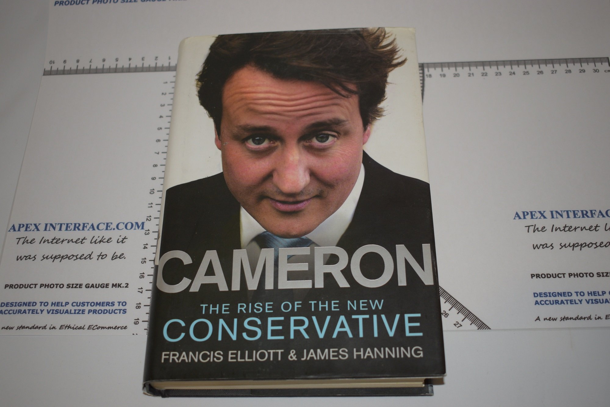Cameron Rise of the New Conservative book