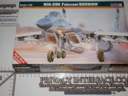 West German Mig 29