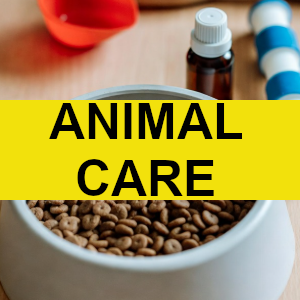 Animal Care